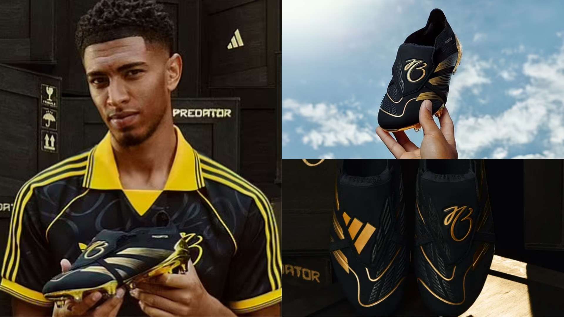 理其情绪的 理其情绪的